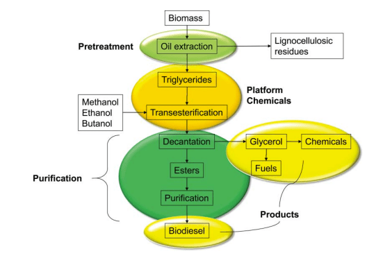 Catalytic conversion of biomass-derived resources into biodiesel ...
