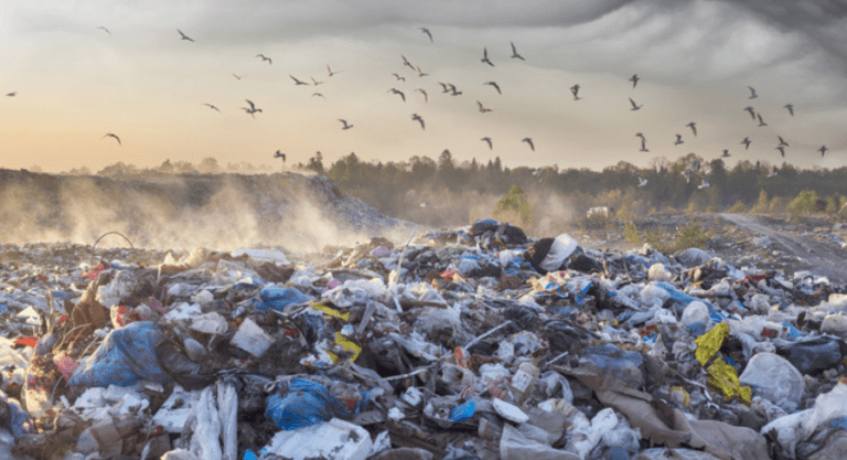 GIDARA Technology: An Innovative Solution for Converting Solid Waste into SAF