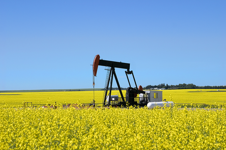 Grains Council expects increase in canola exports from Canada