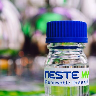 Coping with uncertainty in the biofuels sphere