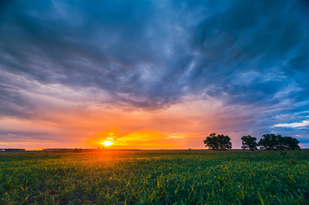 US DoE and EPA announce funding to support advanced biofuel projects
