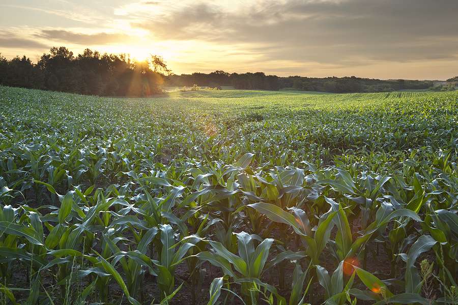 Gevo to sell ethanol production facility