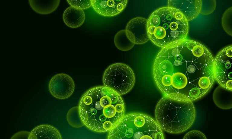 https://biofuels-news.com/wp-content/uploads/2025/07/BRK-Technology-pic-Biofuel-14-7-768x461.jpg