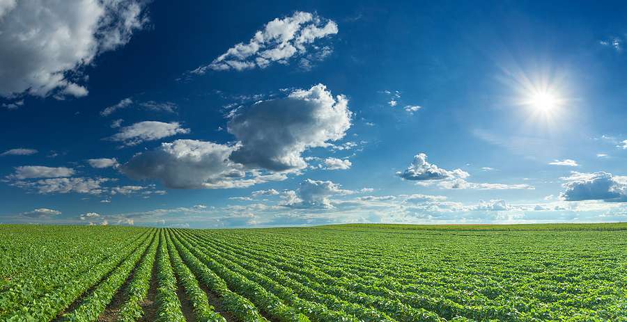 World trade in soybean feedstock continues to break records