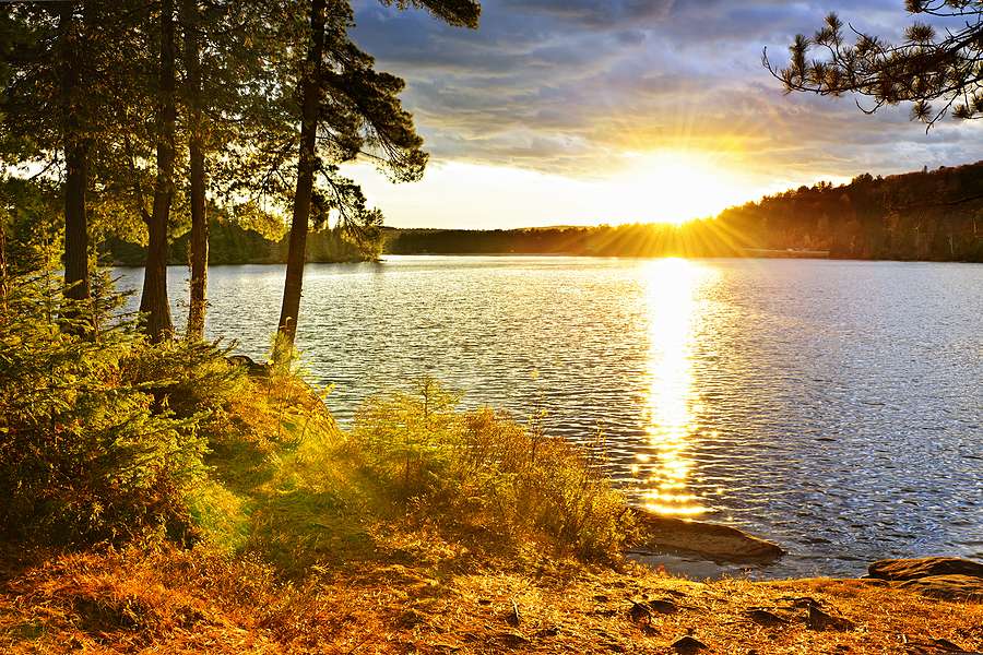 Highbury Energy and WBCEC advance SAF and RD project in Ontario