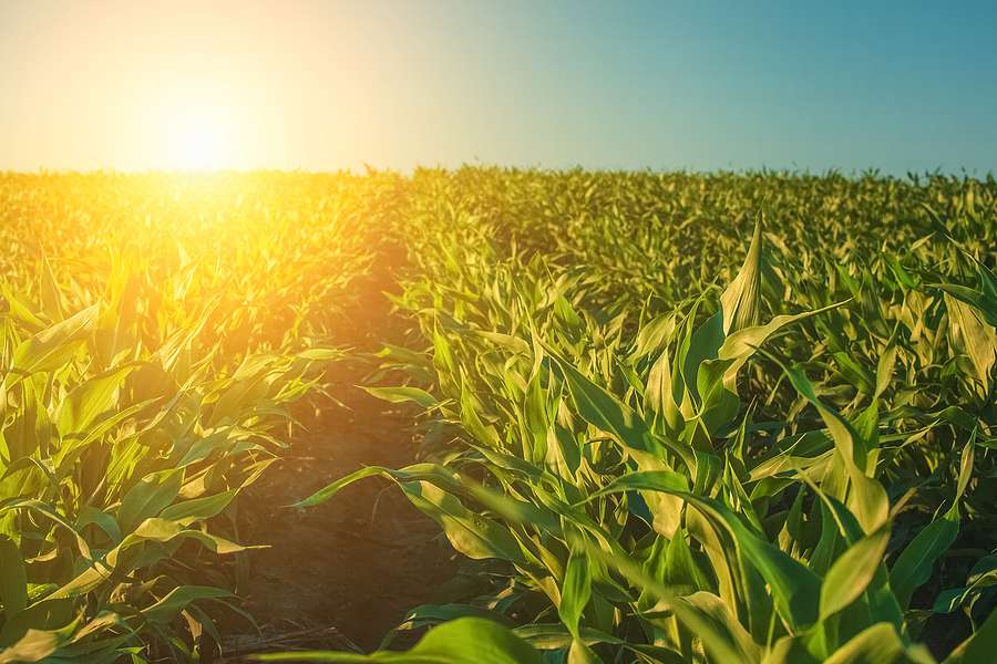 POET to acquire Tennessee-based bioethanol plant