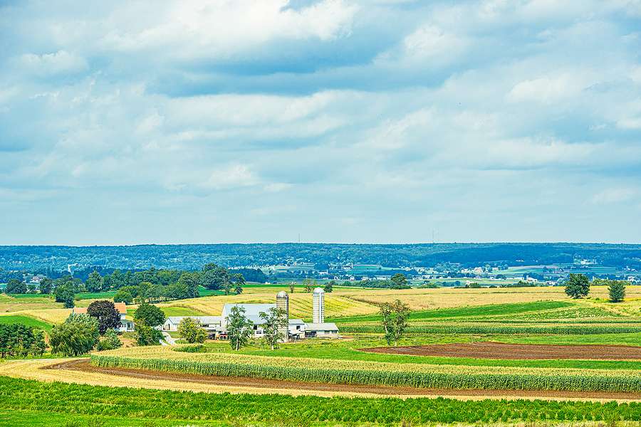 Investing in bioethanol is an investment in rural economy, Skor