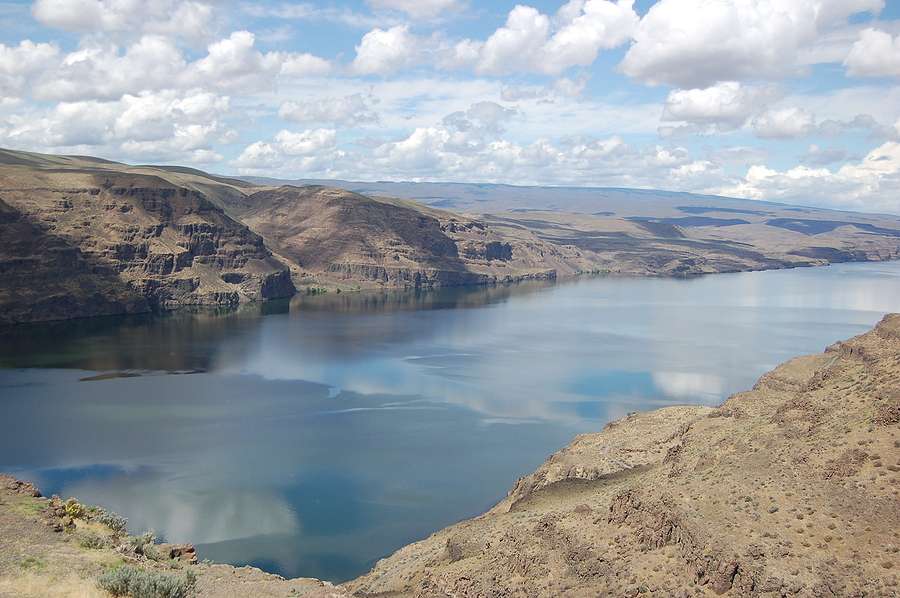 SkyNRG secures environmental approvals for Project Wigeon, pioneering SAF fuel facility in Eastern Washington