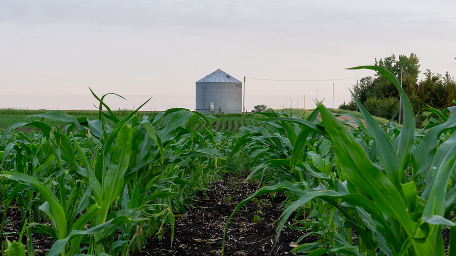 Iowa biodiesel production down from 2024 level