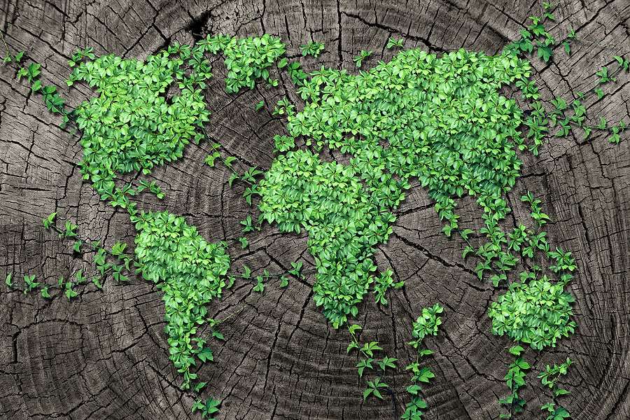 Overview of global biofuels markets forecast