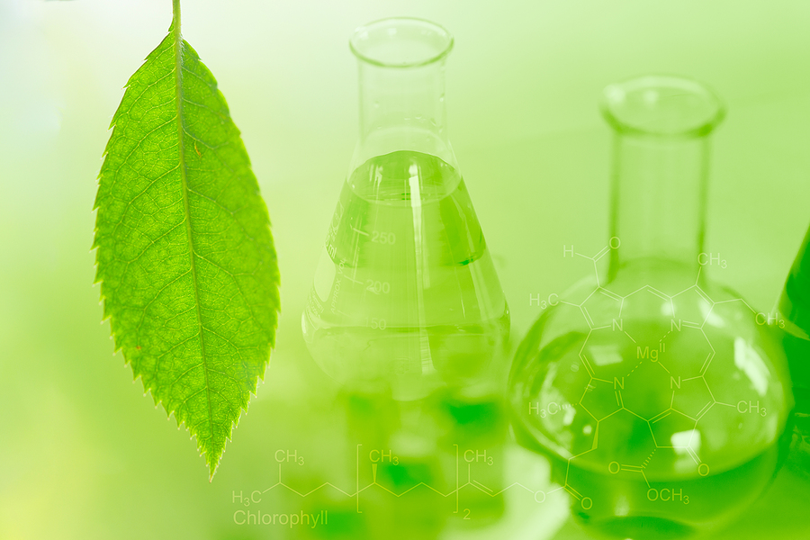A reality check for feedstocks, policy and capital
