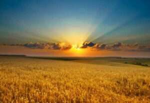 VARO becomes one of Europe’s largest feedstock co-processors