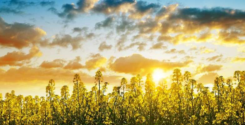 Reinvention in an era of high energy prices