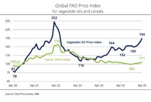 Vegetable oil prices at a multi-year high, grain prices showed a slight increase
