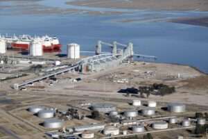 LDC to build new sunflower and soy processing plant    