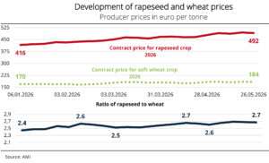 Rapeseed prices offer farmers incentive