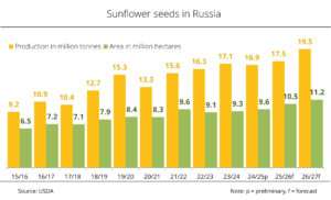 Record year for Russia’s sunflower seed production