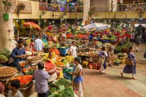 Goa unveils landmark plan to turn UCO into biodiesel
