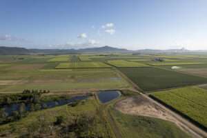 GrainCorp outlines pathway for Australia’s sustainable aviation fuel future