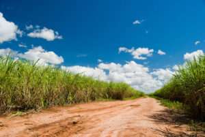 Growth Energy backs US penalties against Brazil for unfair trade practices