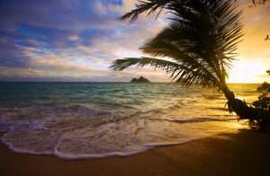 Hawaii governor signs clean fuel standard into law