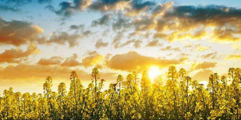 Reinvention in an era of high energy prices