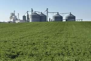 EPA approves renewable fuel pathways for CoverCress oil