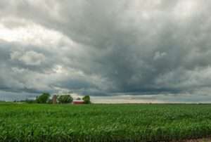 Iowa zone rated ‘A’ for corn biofuel feedstock