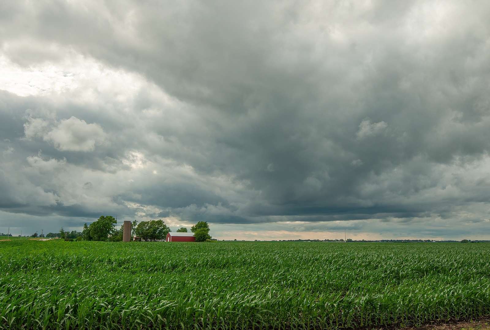Iowa zone rated ‘A’ for corn biofuel feedstock