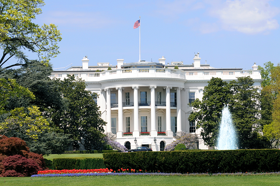 Trump seeks ways to shield farmers from expansion of refinery biofuel waivers