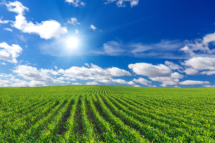 Gevo strengthens carbon revenue stream with new multi-year carbon removal agreement