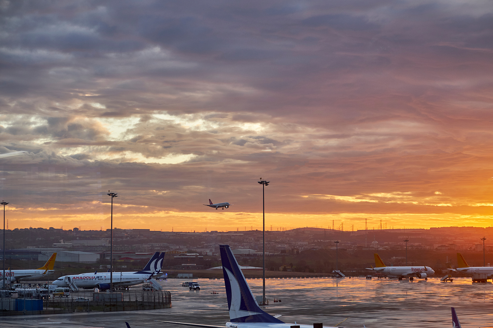 ICAO joins IATA for CORSIA EEU supply