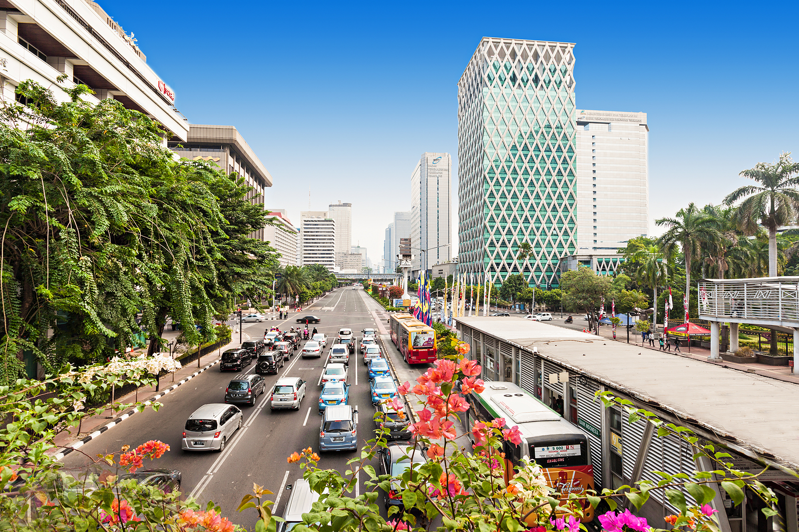 Indonesia targets E50 bioethanol blend to strengthen energy independence