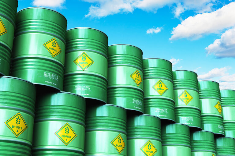Canada’s expanding biofuel demand tightens rapeseed export availability ...
